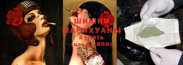 мдпв Богданович