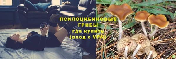 Альфа ПВП Ростов